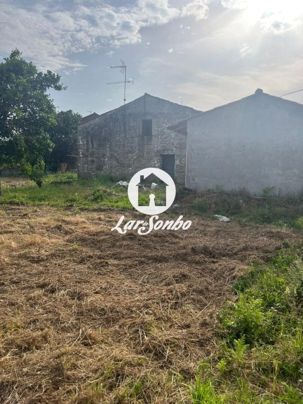 Moradia T2 para Venda em Alvito (São Pedro e São Martinho) e Couto Foto 27