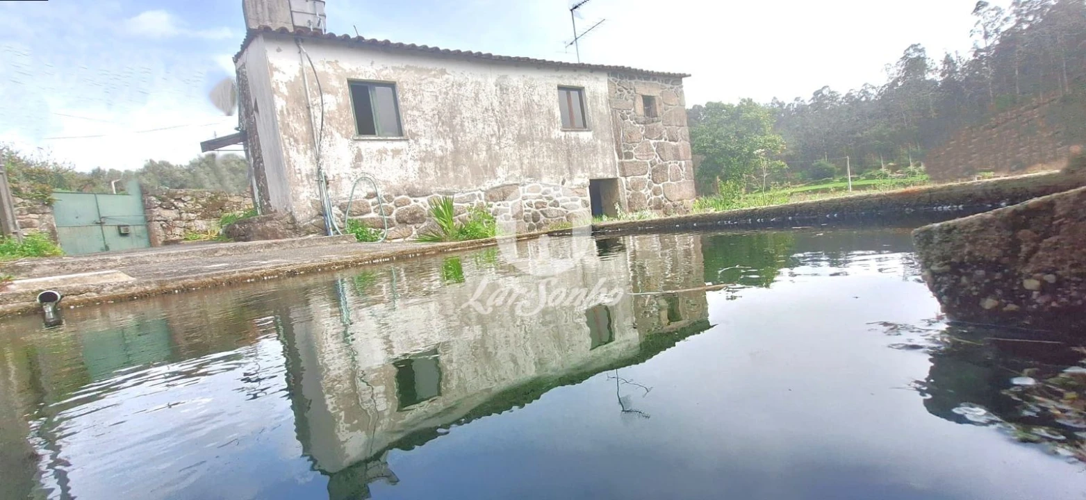 Moradia T2 para Venda em Alvito (São Pedro e São Martinho) e Couto Foto 1