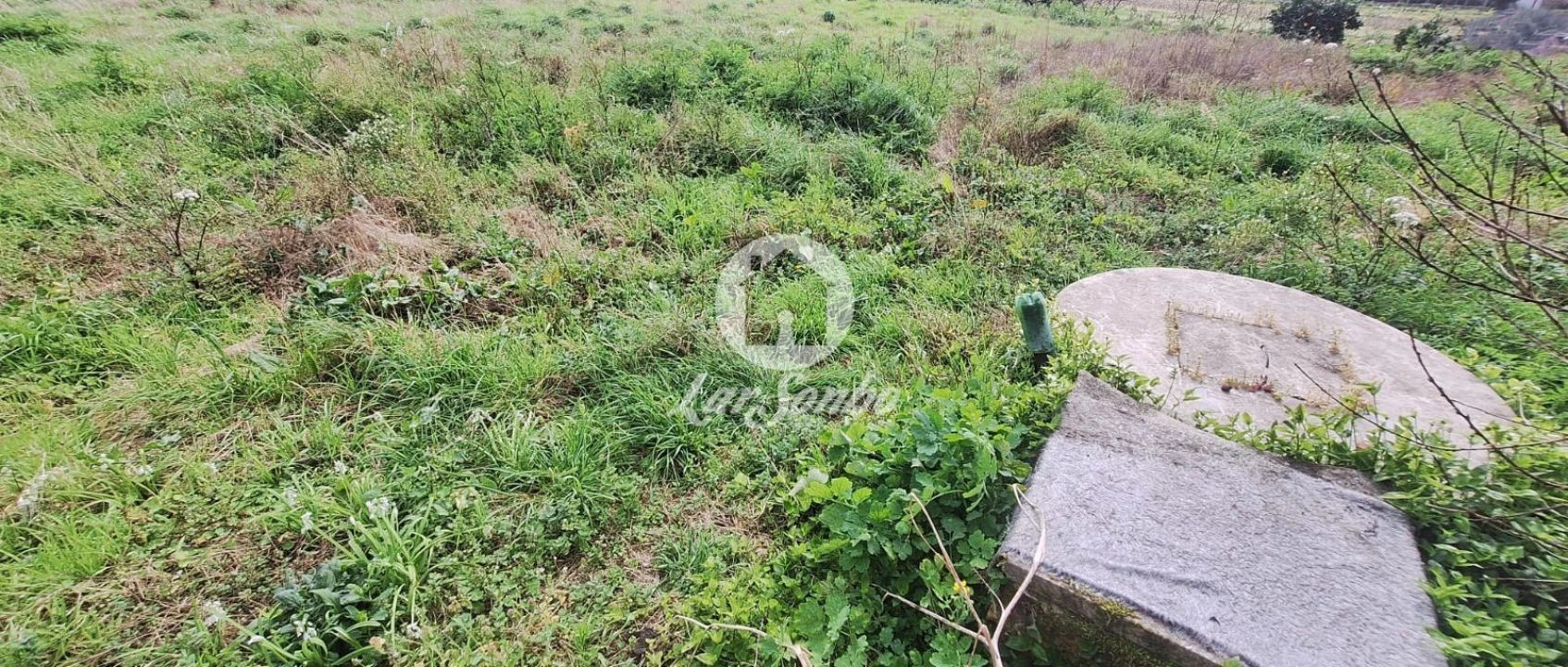 Moradia T2 para Venda em Alvito (São Pedro e São Martinho) e Couto Foto 20