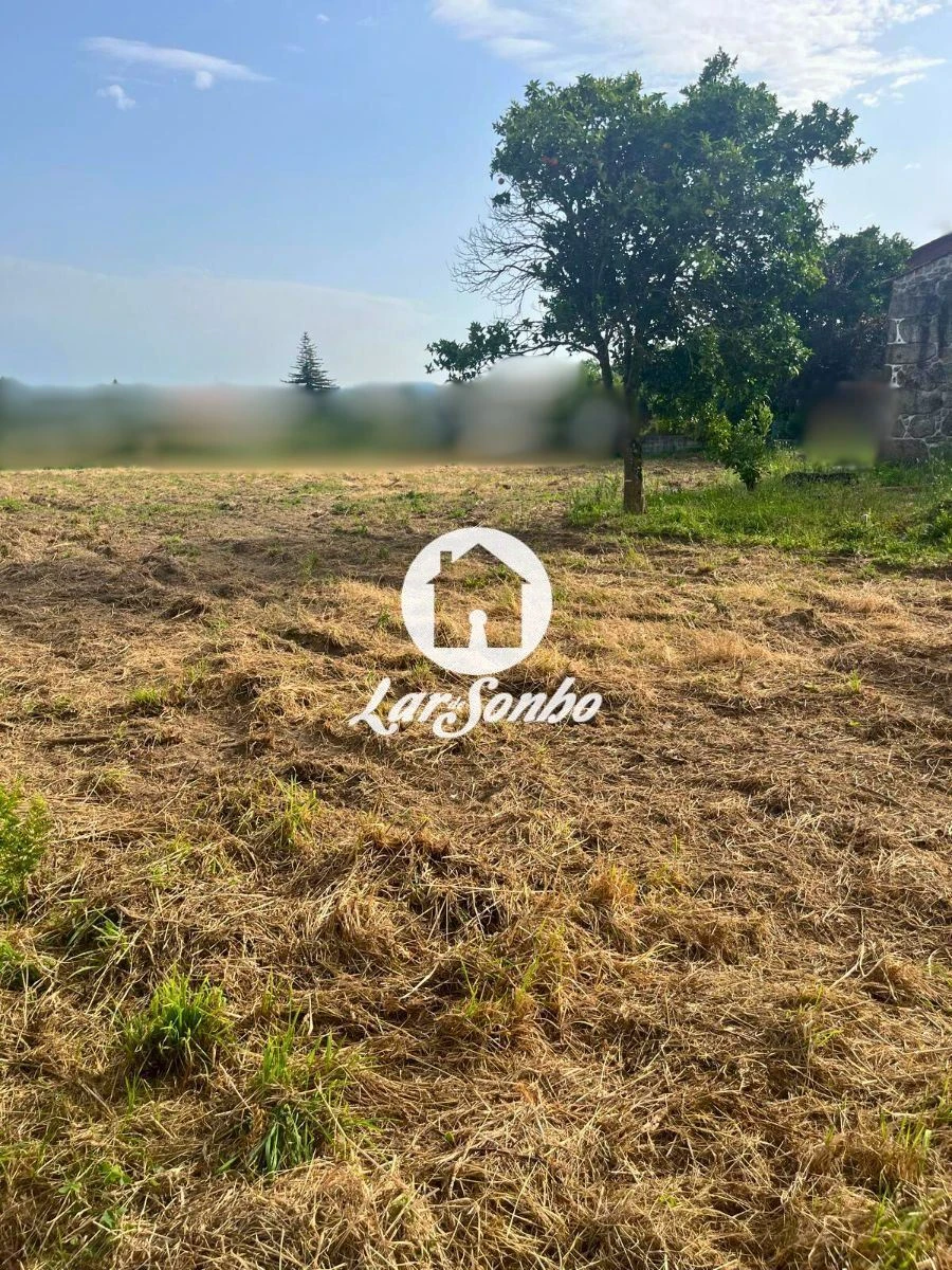 Moradia T2 para Venda em Alvito (São Pedro e São Martinho) e Couto Foto 28