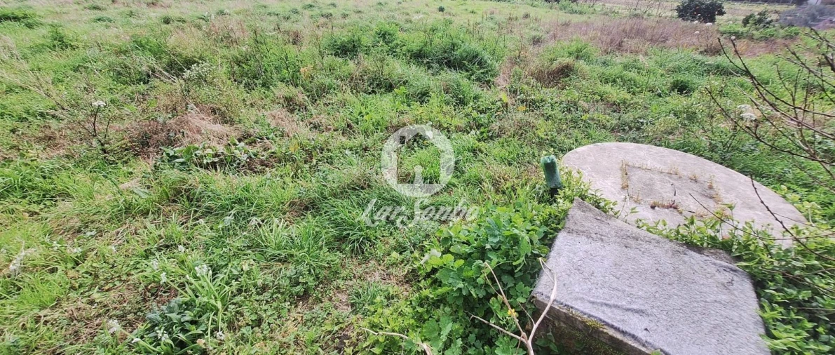 Moradia T2 para Venda em Alvito (São Pedro e São Martinho) e Couto Foto 20