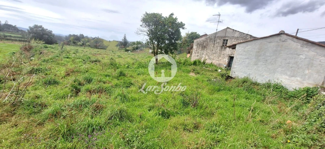 Moradia T2 para Venda em Alvito (São Pedro e São Martinho) e Couto Foto 22