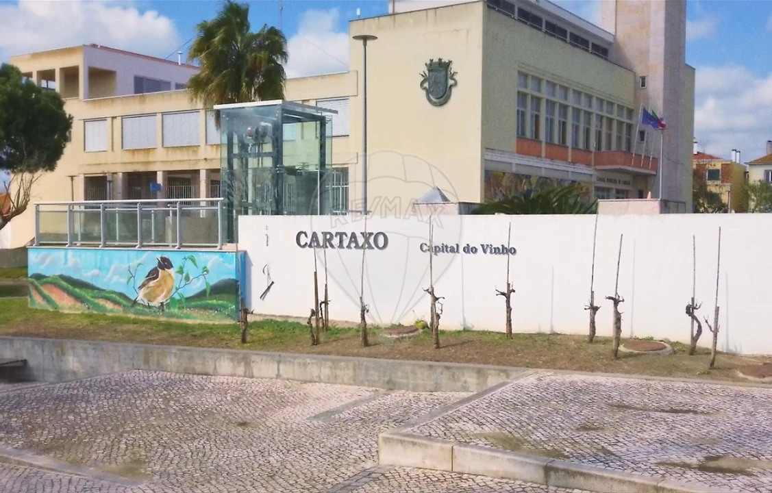 Terreno para Venda em Cartaxo e Vale da Pinta Foto 3