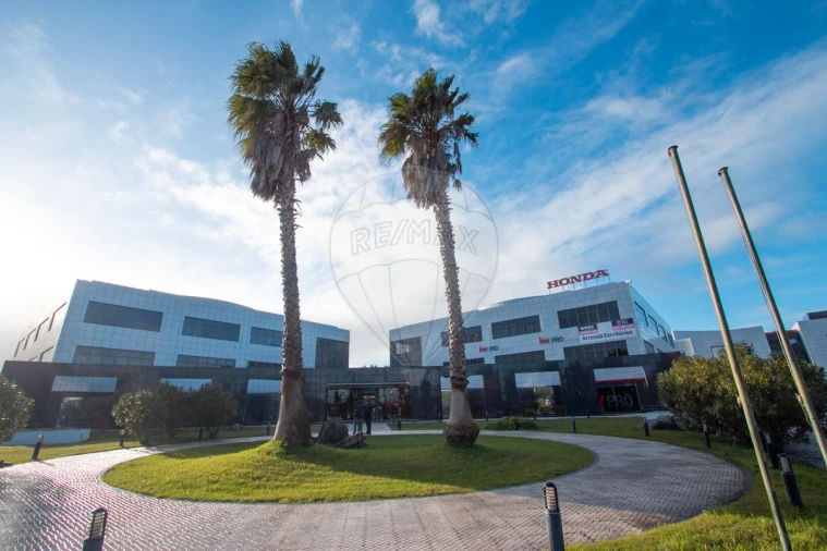 Escritório para Arrendamento em Santa Maria e São Miguel, São Martinho, São Pedro Penaferrim Foto 1