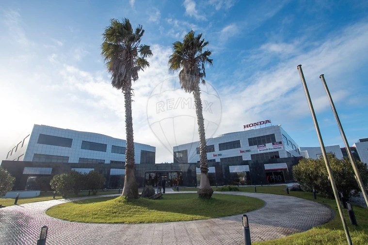 Escritório para Arrendamento em Santa Maria e São Miguel, São Martinho, São Pedro Penaferrim