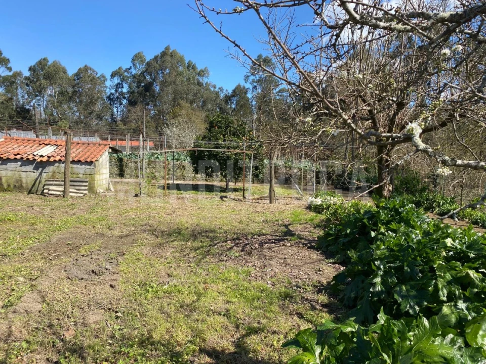 Moradia T4 para Venda em Lago Foto 11