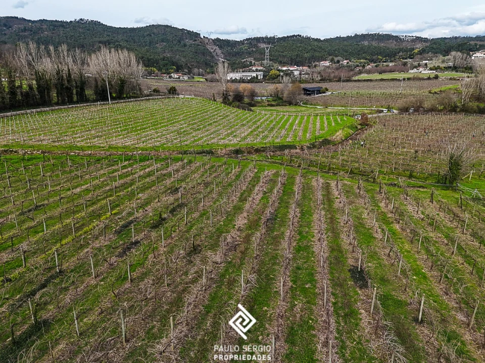 Quinta T4 para Venda em Briteiros São Salvador e Briteiros Santa Leocádia Foto 22