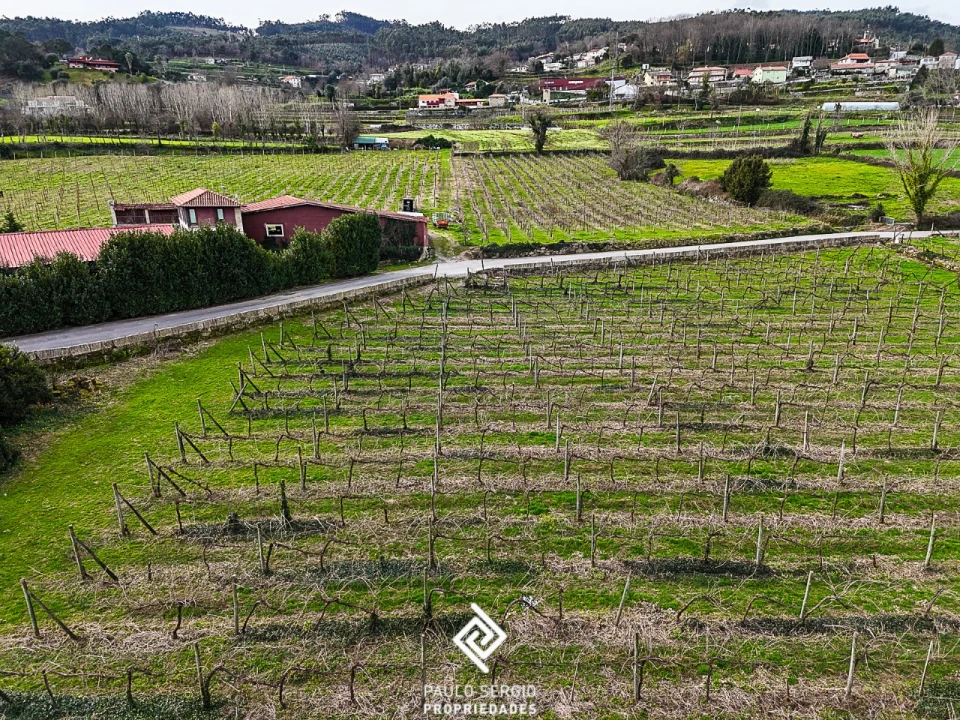 Quinta T4 para Venda em Briteiros São Salvador e Briteiros Santa Leocádia Foto 4