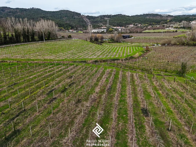 Quinta T4 para Venda em Briteiros São Salvador e Briteiros Santa Leocádia Foto 22