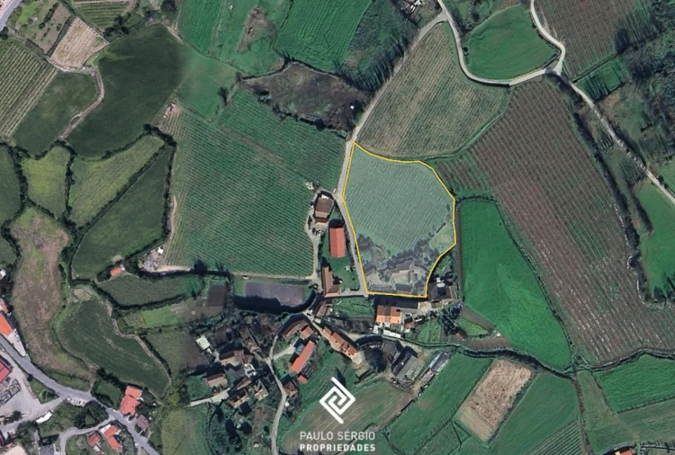 Quinta T4 para Venda em Briteiros São Salvador e Briteiros Santa Leocádia Foto 24