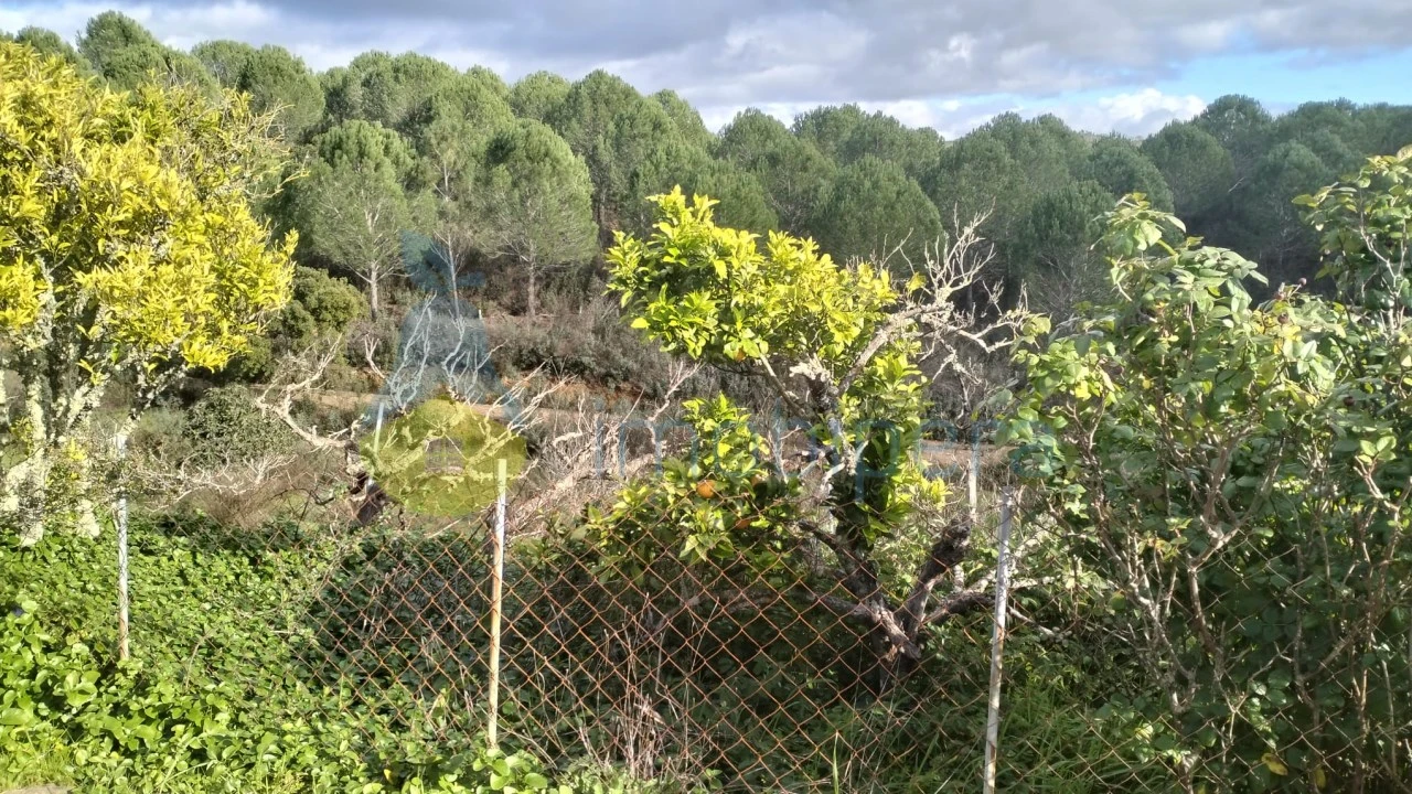 Quinta T3 para Venda em São Marcos da Serra Foto 6
