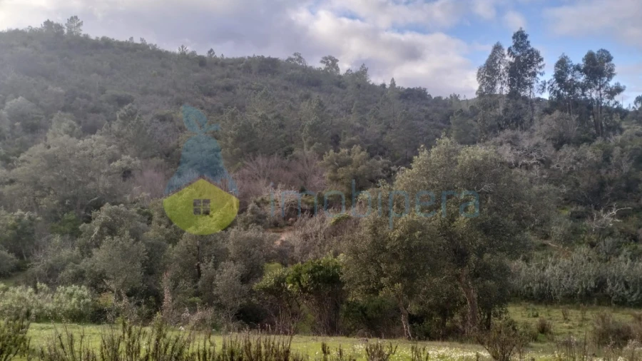 Quinta T3 para Venda em São Marcos da Serra Foto 8