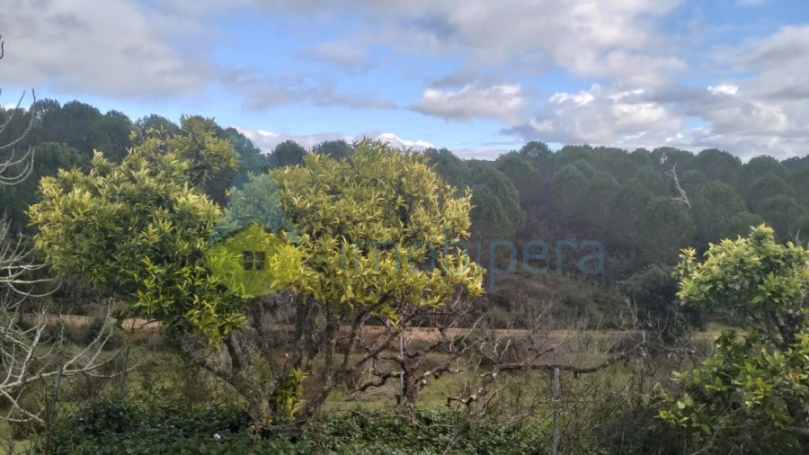 Quinta T3 para Venda em São Marcos da Serra Foto 13