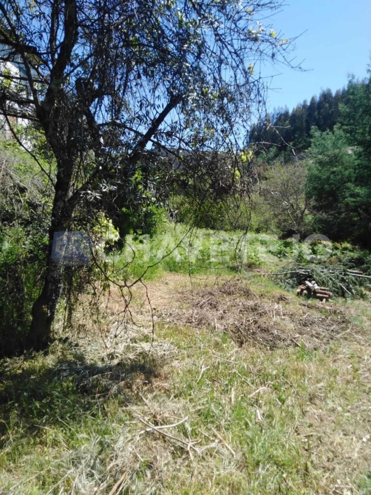 Moradia T2 para Venda em Figueiró dos Vinhos e Bairradas Foto 26