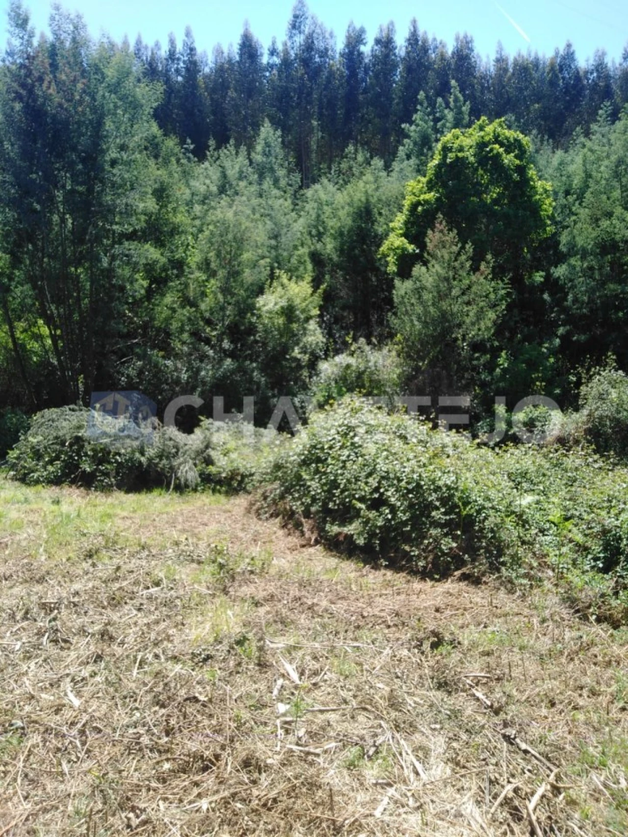 Moradia T2 para Venda em Figueiró dos Vinhos e Bairradas Foto 30