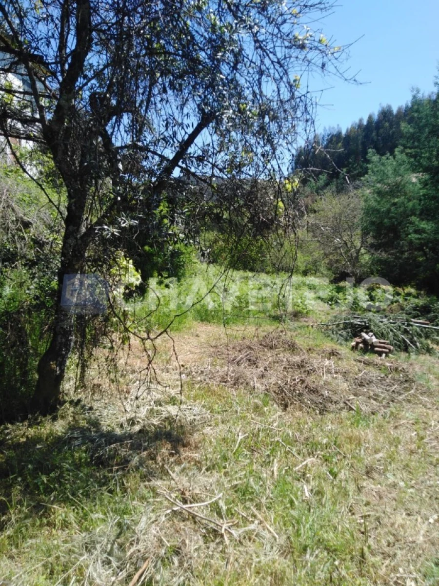 Moradia T2 para Venda em Figueiró dos Vinhos e Bairradas Foto 26