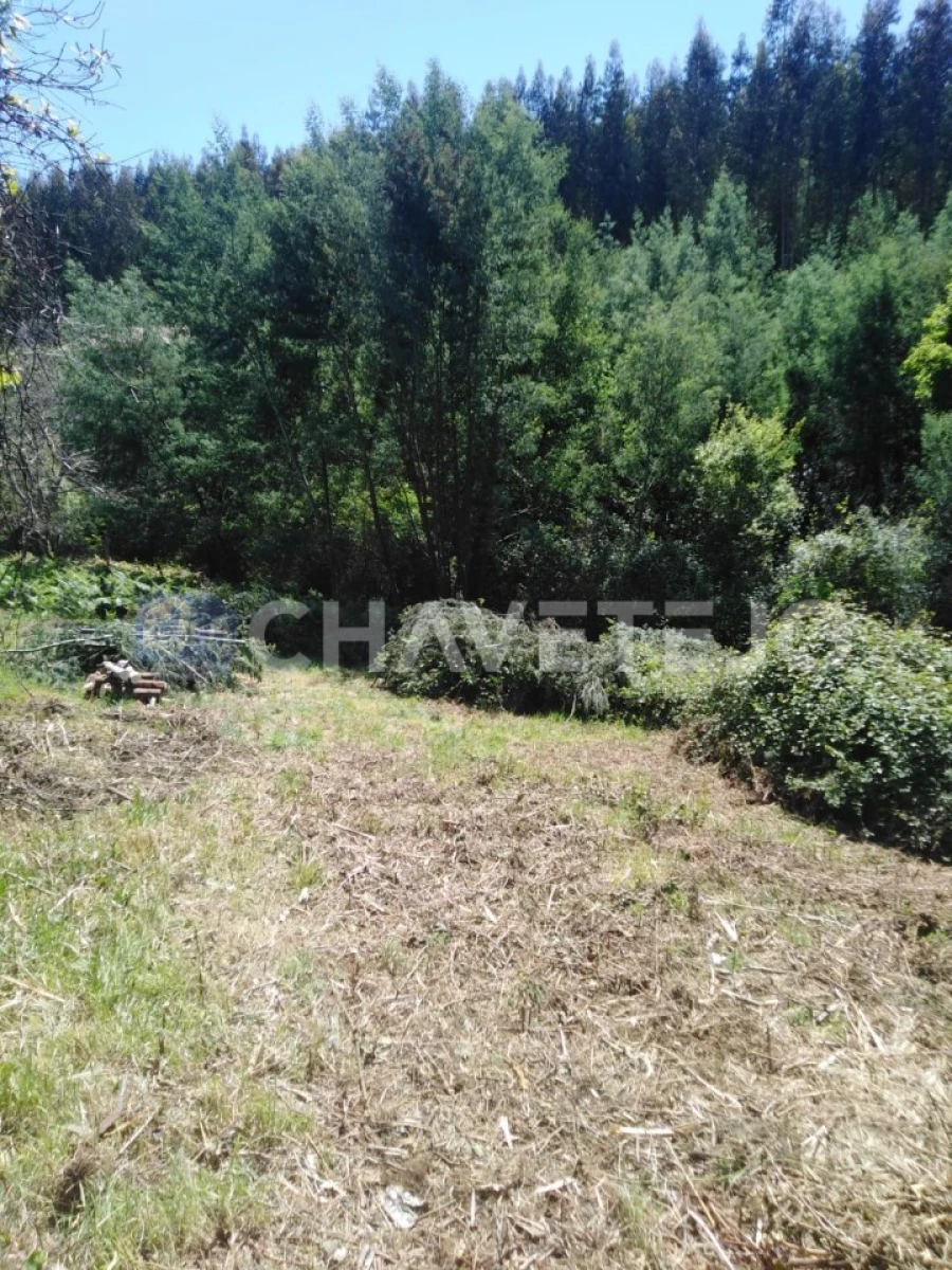 Moradia T2 para Venda em Figueiró dos Vinhos e Bairradas Foto 27