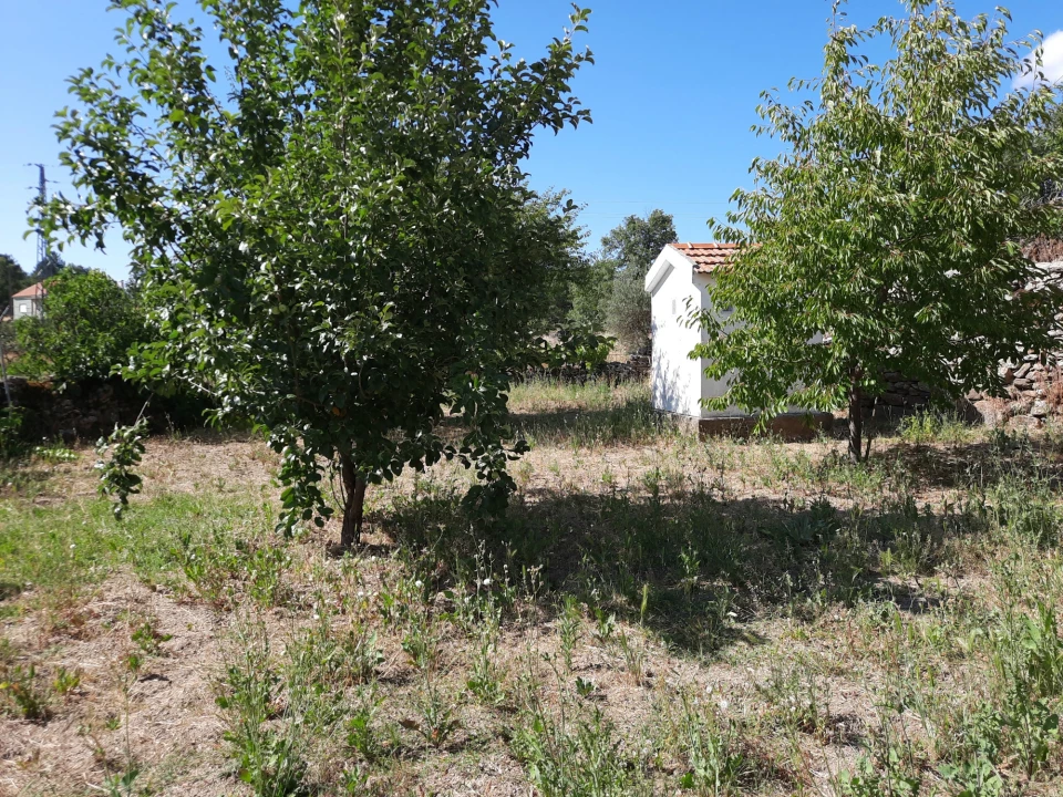 Moradia T1 para Venda em Cerdeira Foto 43