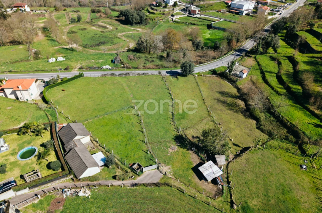 Terreno para Venda em Aguiã Foto 5