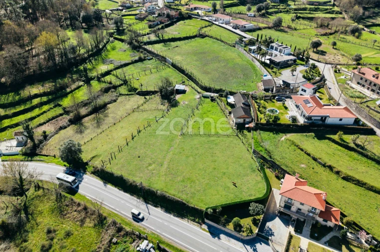 Terreno para Venda em Aguiã Foto 8