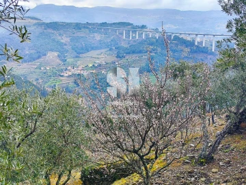 Terreno para Venda em Folhadela