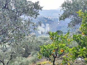 Terreno para Venda em Folhadela