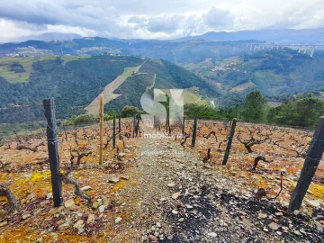 Terreno para Venda em Folhadela