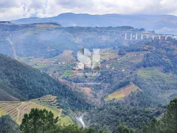 Terreno para Venda em Folhadela