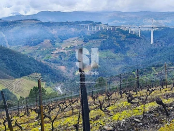 Terreno para Venda em Folhadela