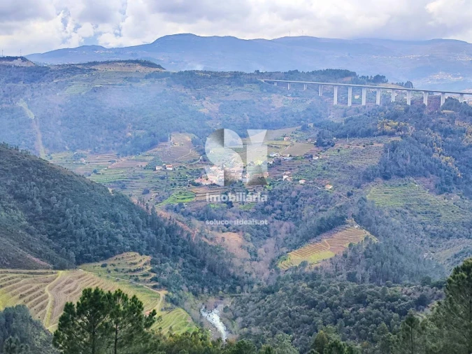 Terreno para Venda em Folhadela Foto 11