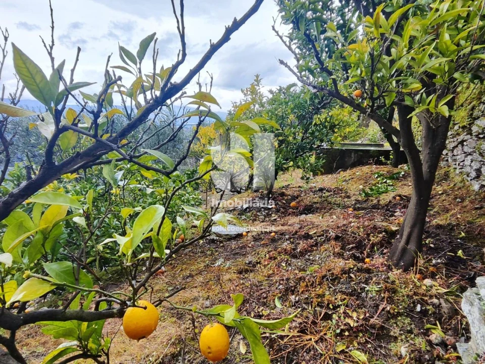 Terreno para Venda em Folhadela Foto 10