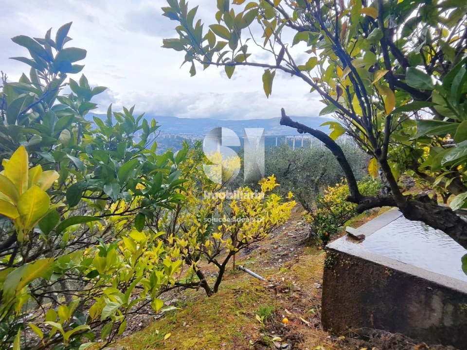 Terreno para Venda em Folhadela Foto 1