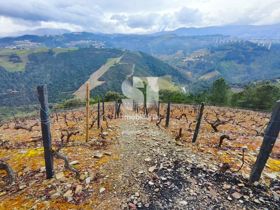 Terreno para Venda em Folhadela Foto 2