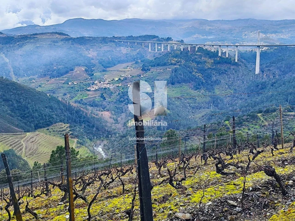 Terreno para Venda em Folhadela Foto 5