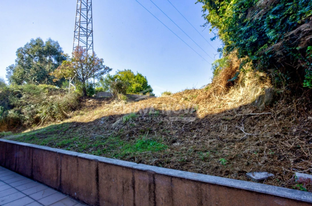 Terreno para Venda em Madalena Foto 3