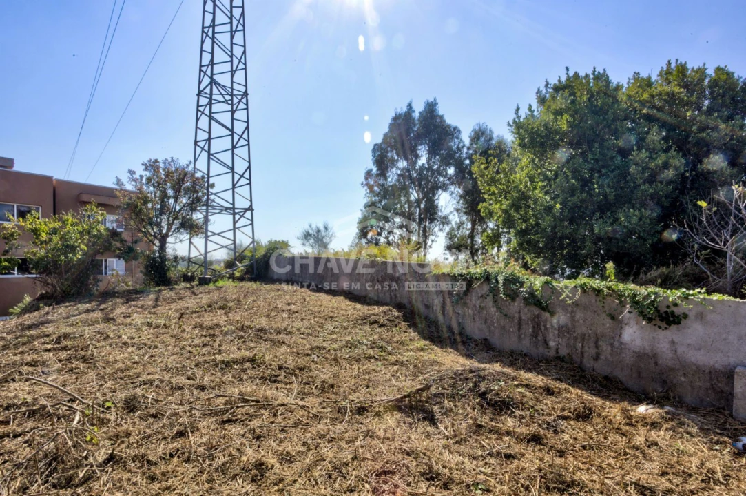 Terreno para Venda em Madalena Foto 9