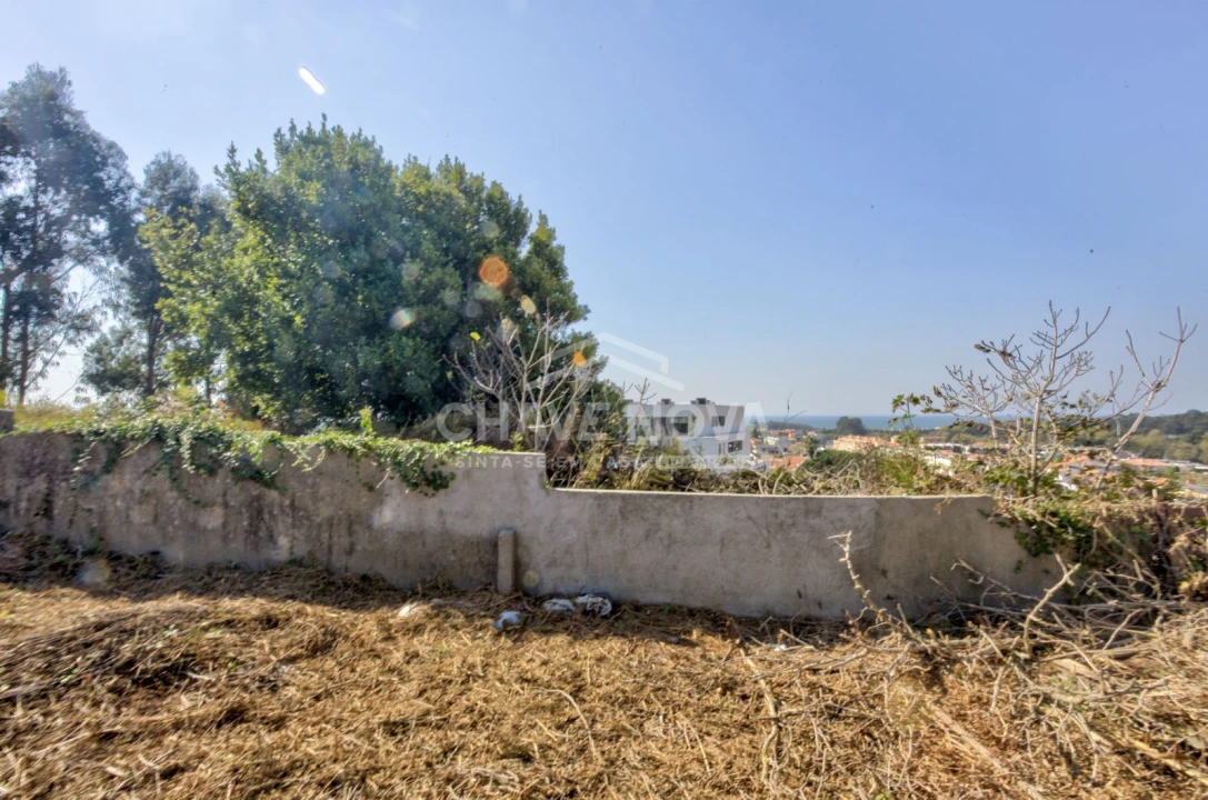 Terreno para Venda em Madalena Foto 11