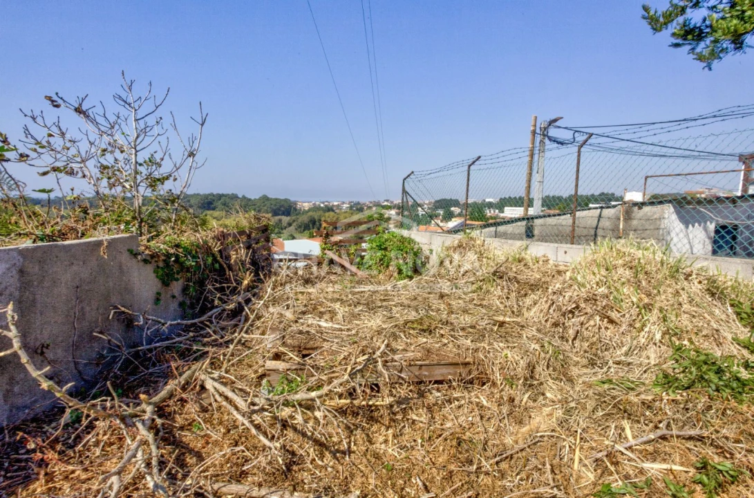 Terreno para Venda em Madalena Foto 13