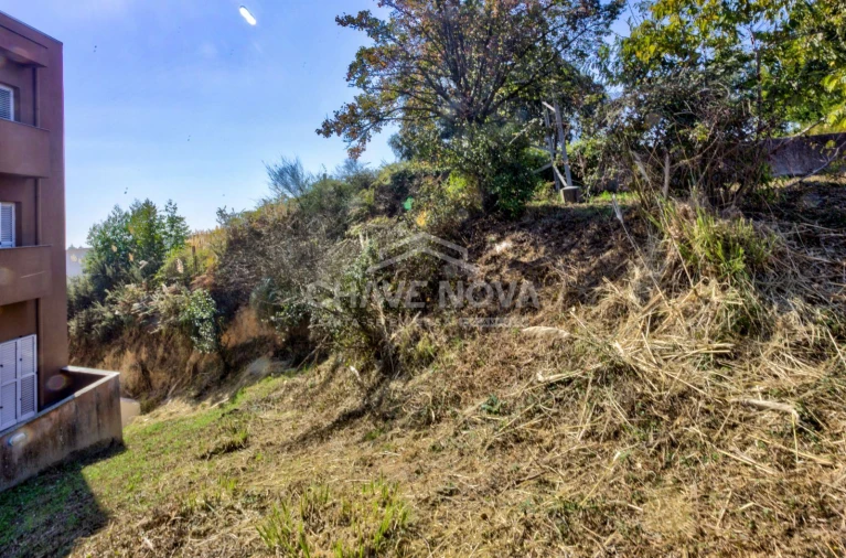 Terreno para Venda em Madalena Foto 2