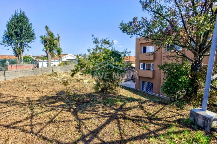 Terreno para Venda em Madalena Foto 6