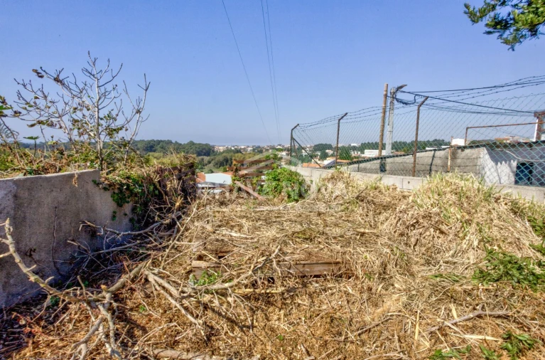 Terreno para Venda em Madalena Foto 13