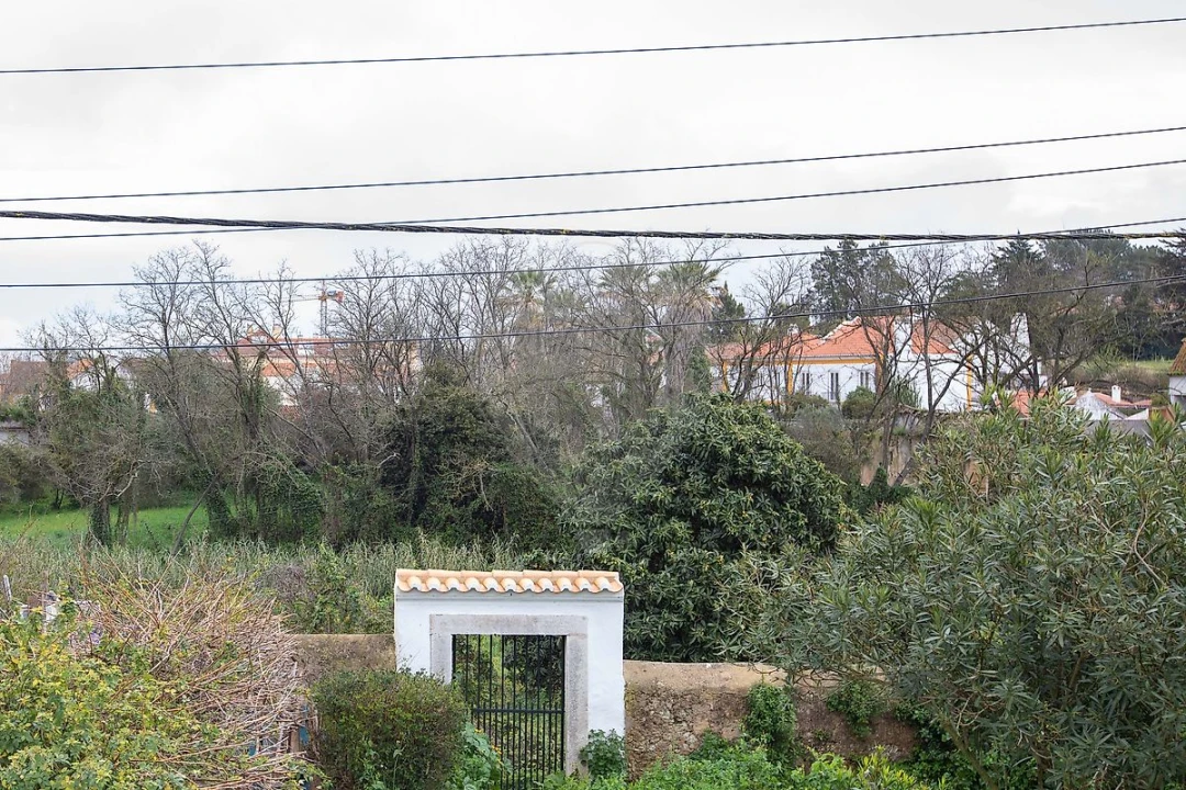 Moradia T2 para Arrendamento em Azeitão (São Lourenço e São Simão) Foto 17