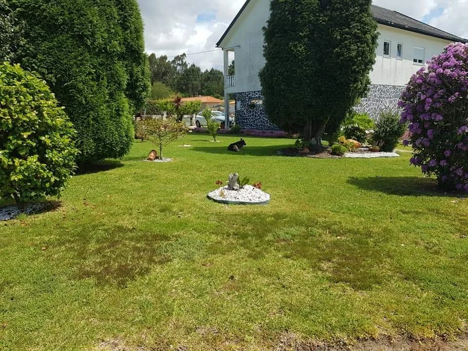 Moradia T3 para Venda em Varzea Foto 26