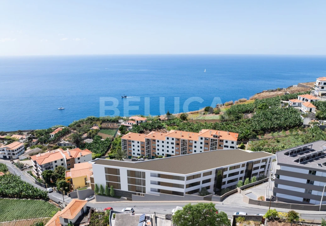 Apartamento T1 para Venda em Camara de Lobos Foto 3