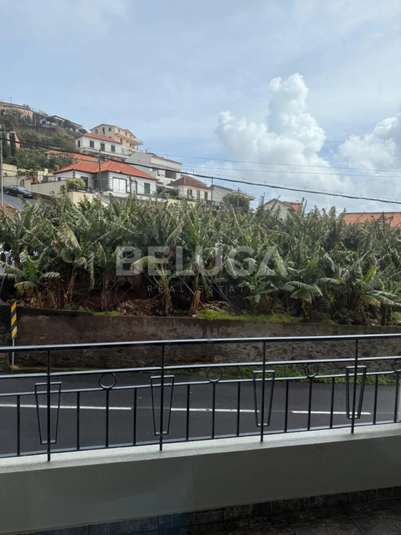 Moradia T3 para Venda em Camara de Lobos Foto 34