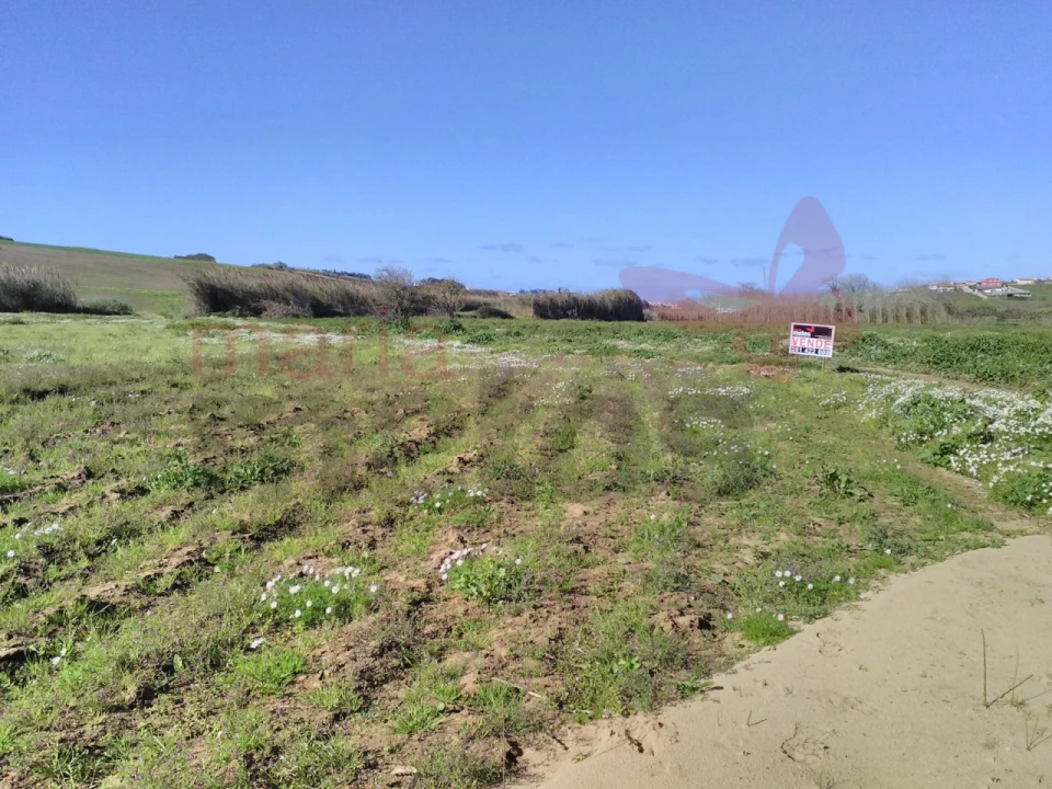Terreno para Venda em Lourinhã e Atalaia Foto 2