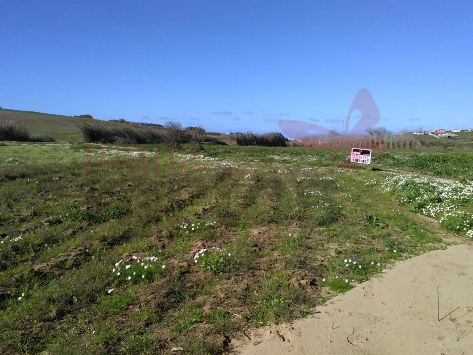 Terreno para Venda em Lourinhã e Atalaia Foto 3