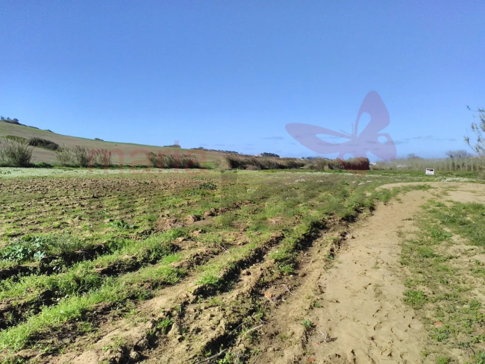 Terreno para Venda em Lourinhã e Atalaia Foto 5