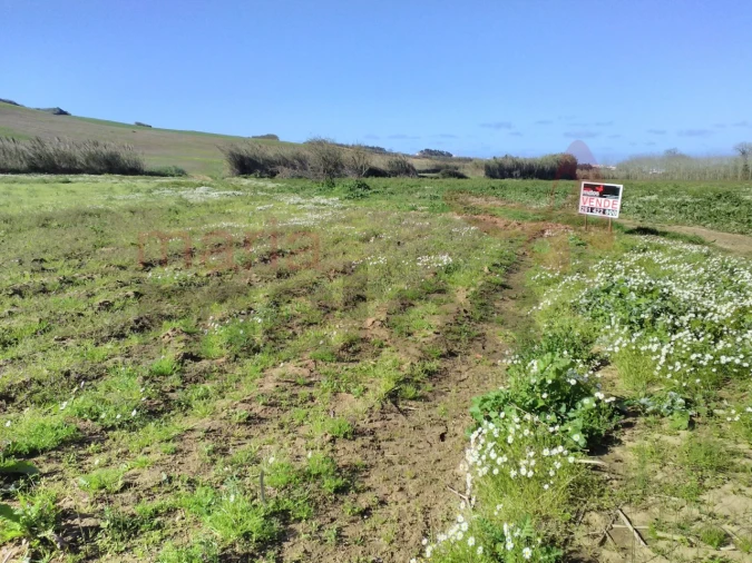 Terreno para Venda em Lourinhã e Atalaia