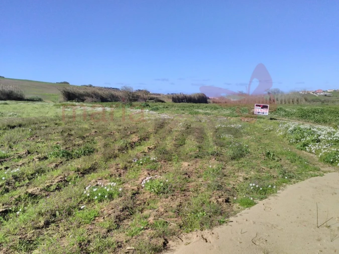 Terreno para Venda em Lourinhã e Atalaia Foto 2